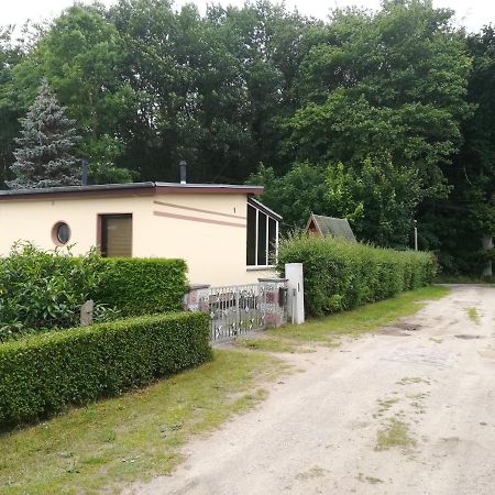 Ferienhaus Am Wald Loissin 외부 사진