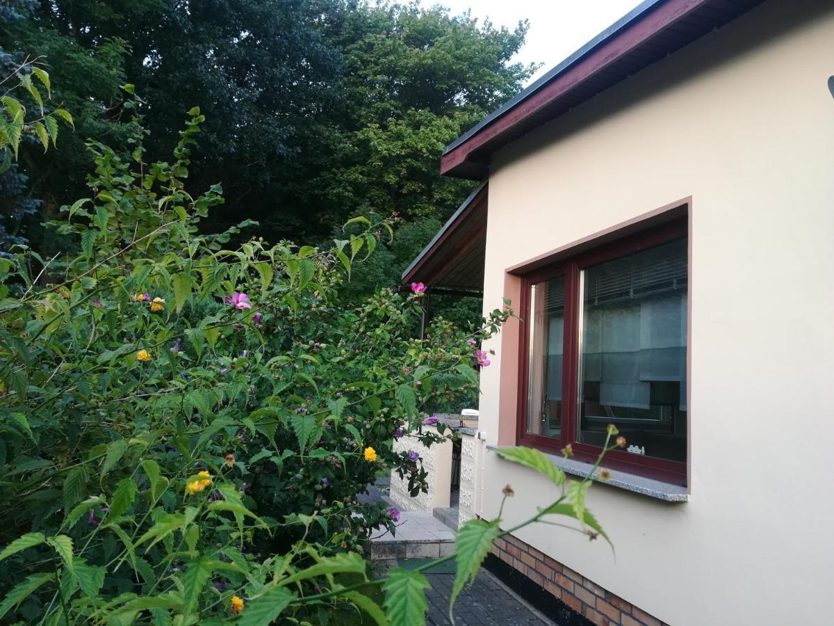 Ferienhaus Am Wald Loissin 외부 사진