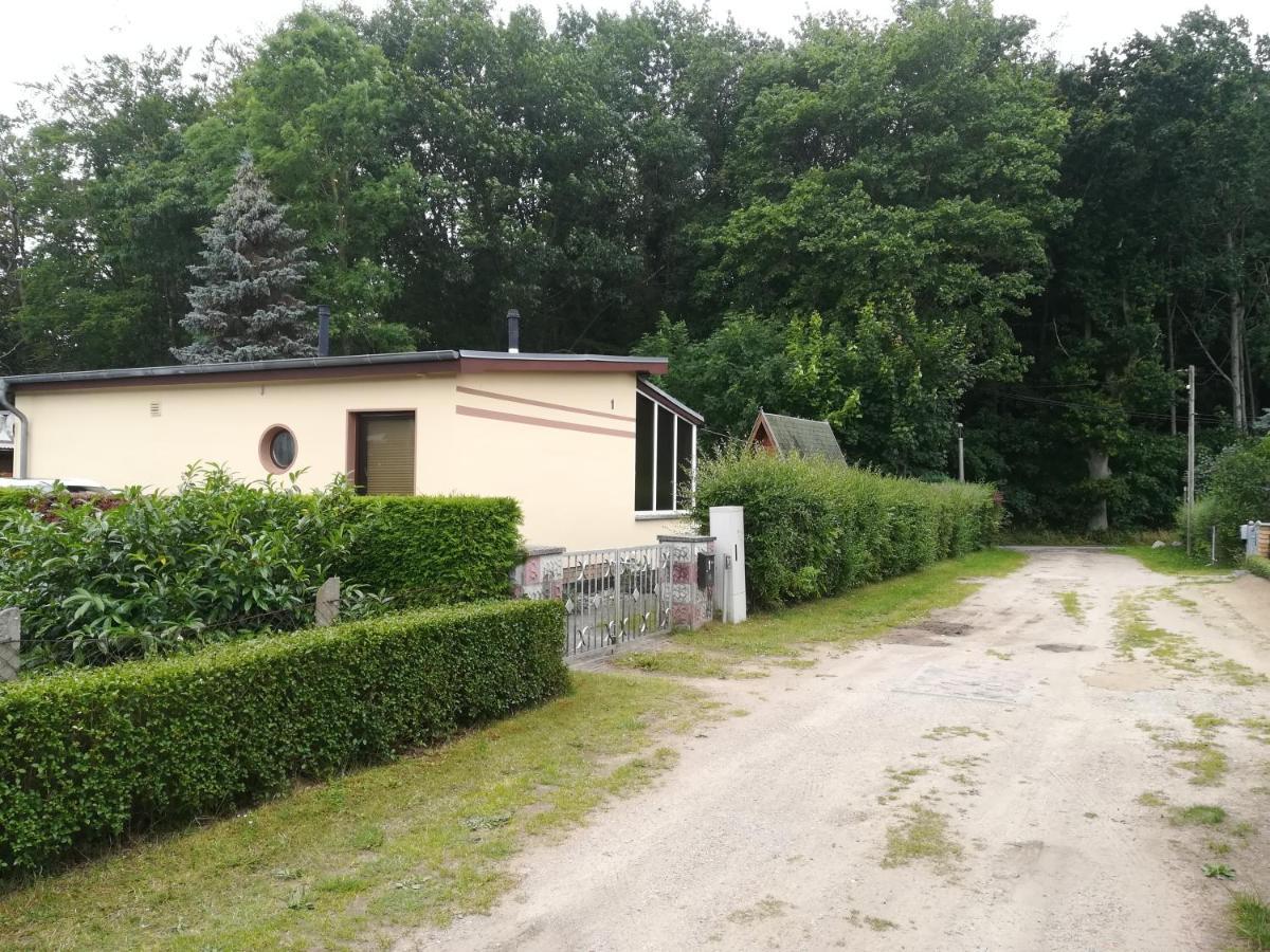 Ferienhaus Am Wald Loissin 외부 사진
